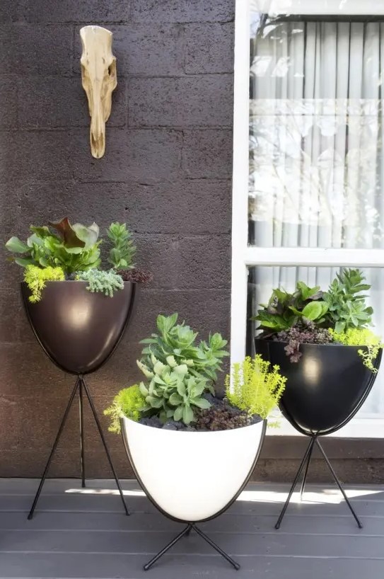 black and white bowl planters on black stands are a nice solution for a modern or Nordic backyard