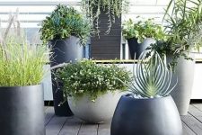 grey and black planters of various height and shapes will help you create an ultra-modern and chic backyard