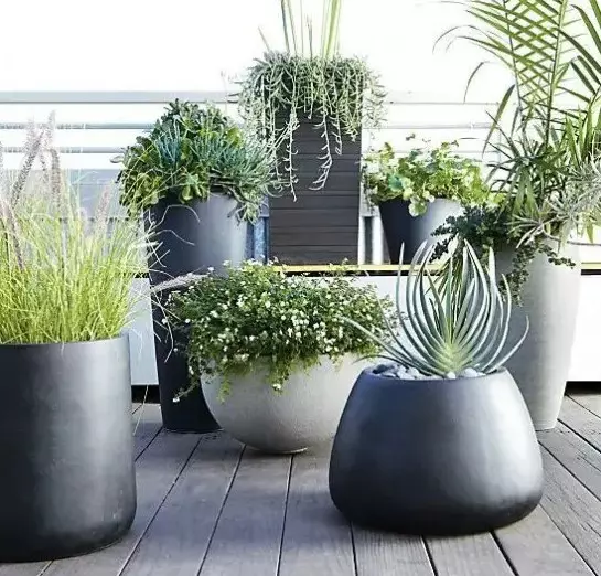 grey and black planters of various height and shapes will help you create an ultra-modern and chic backyard