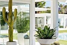 modern cone-shaped planters on hairpin legs in white and curved tall planters with various types of cacti and succulents