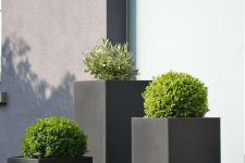 modern tall black planters with greenery will create a bold contrasting look in your outdoor space and will add a modern feel to it