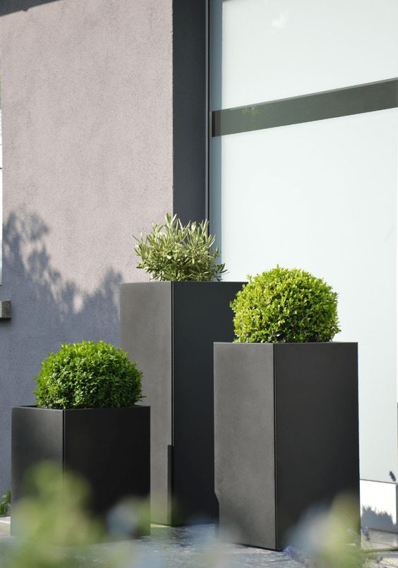 modern tall black planters with greenery will create a bold contrasting look in your outdoor space and will add a modern feel to it