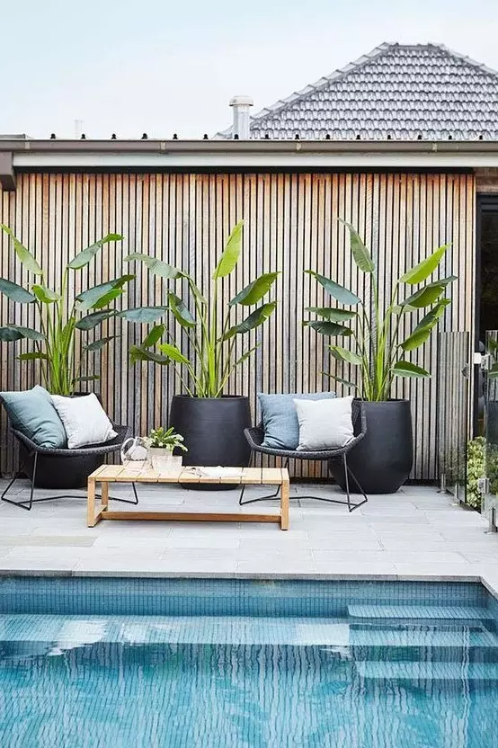 modern tall black planters with tropical plants are extra bold and chic and will give a modern feel to your space