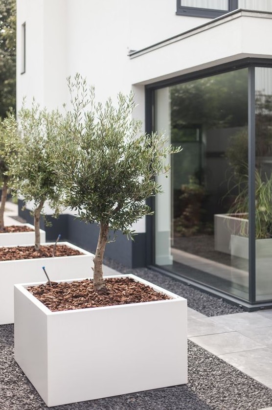 oversized white square concrete planters in a row will make your outdoor space very edgy and cool