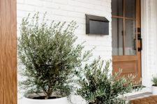 planters with trees are perfect to frame your front door
