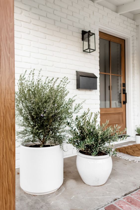 style your porch with white oversized planters with trees or greenery, and they will make a bold statement for a modern home