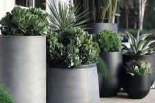stylish and chic grey and black curved and round planters with lots of greenery will totally change your space and will make it edgy