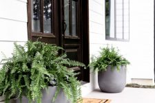 stylish curved concrete planters with lots of ferns will be a great idea for a farmhouse, modern or boho home