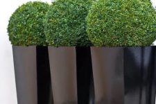 tall black planters with green topiaries are chic modern outdoor decorations to rock outdoors, to give elegance and chic to your outdoor space