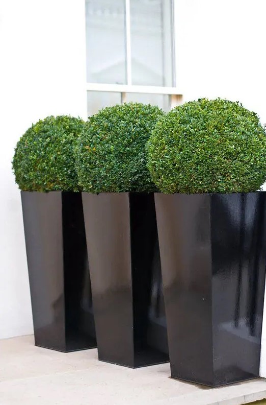 tall black planters with green topiaries are chic modern outdoor decorations to rock outdoors, to give elegance and chic to your outdoor space