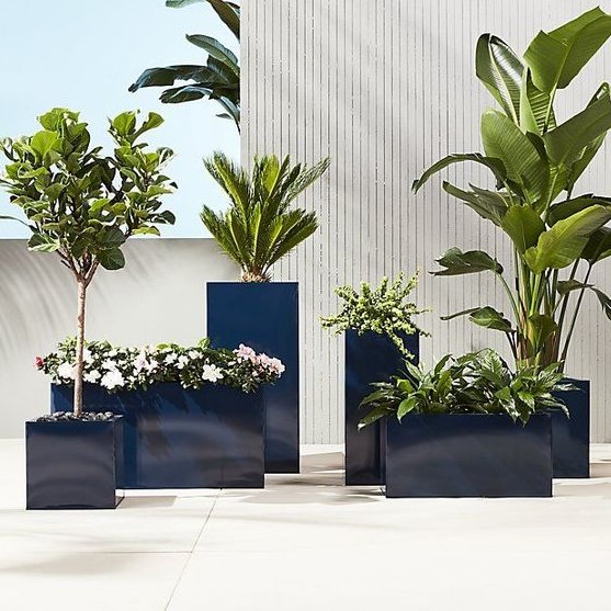 tall galvanized glossy navy planters of various sizes and heights with various plants and blooms look very stylish