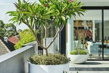 white and grey planters of various sizes and various heights are great to create really a modern feel in your space