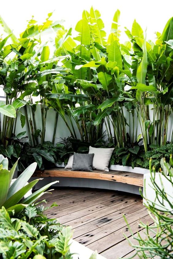 a minimalist tropical space with lots of plants and a single built-in bench with pillows and a deck - who needs more to enjoy the weather and the tropical feel