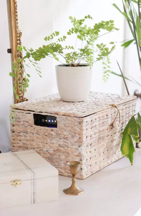 a woven basket is a lovely way to hide a router, and a potted plant on top is a lovely solution for any space, you can paint the box the color you like
