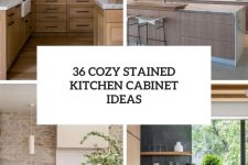 36 cozy stained kitchen cabient ideas cover