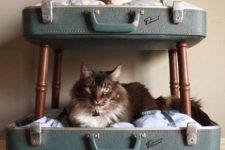 04 a tiered cat bed made of a vintage suitcase placed on legs is a cool idea if you have several kitties