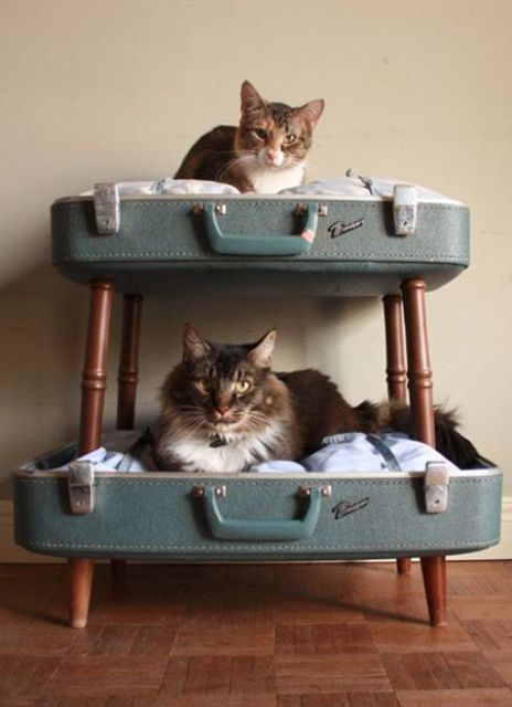a tiered cat bed made of a vintage suitcase placed on legs is a cool idea if you have several kitties
