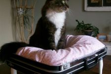 05 a vintage suitcase placed on legs and filled with a large pillow makes up a perfect pet bed