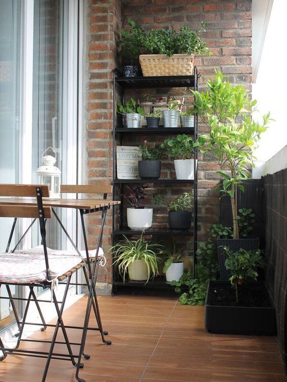 a black metal stand with lots of potted plants is the easiest idea to organize a garden in the balcony, and it will save a lot of space