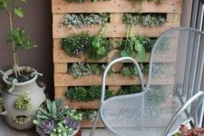a vertical garden is perfect for a small balcony