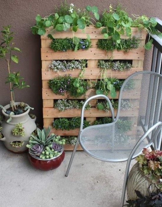 a vertical pallet planter is a lovely alternative to a small garden, it takes very little floor space on the whole and makes it fresher and more green