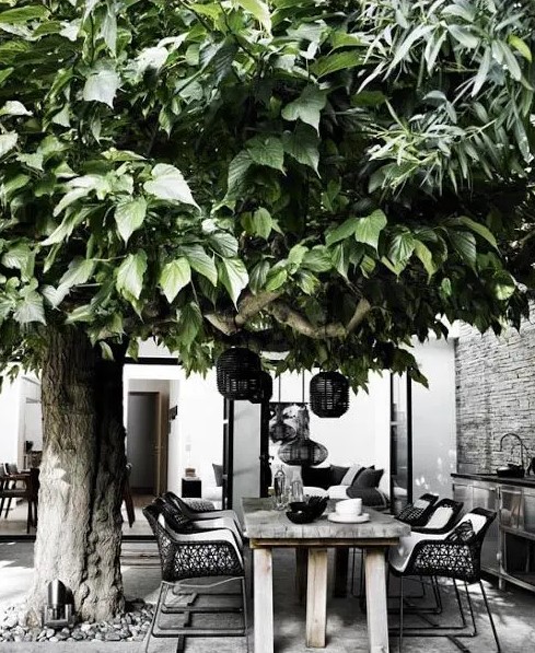 a Nordic terrace with a reclaimed wood table, black chairs, black pendant lamps hanging down from the tree is a chic idea
