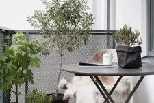 48 a simple and chic Scandinavian balcony with dark metal furniture, potted plants and trees, candle lanterns and faux fur