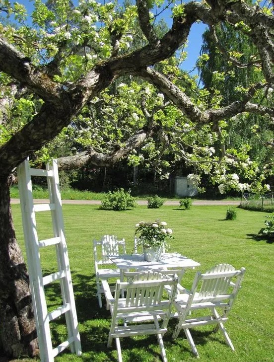 a cozy garden dining space under the tree, on a green lawn, with simple and cute white garden furniture and a ladder