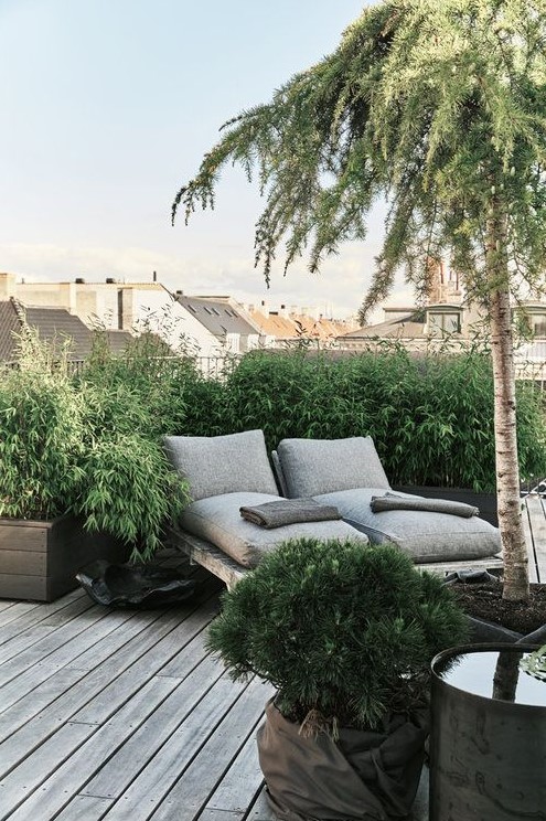 a small and cozy rooftop terrace with a wooden deck, a greenery wall, grey loungers and potted trees is a welcoming zen space