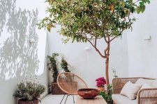 a small terrace with a rattan sofa and a chair, a lwo coffee table, a living tree and greenery, some bold blooms