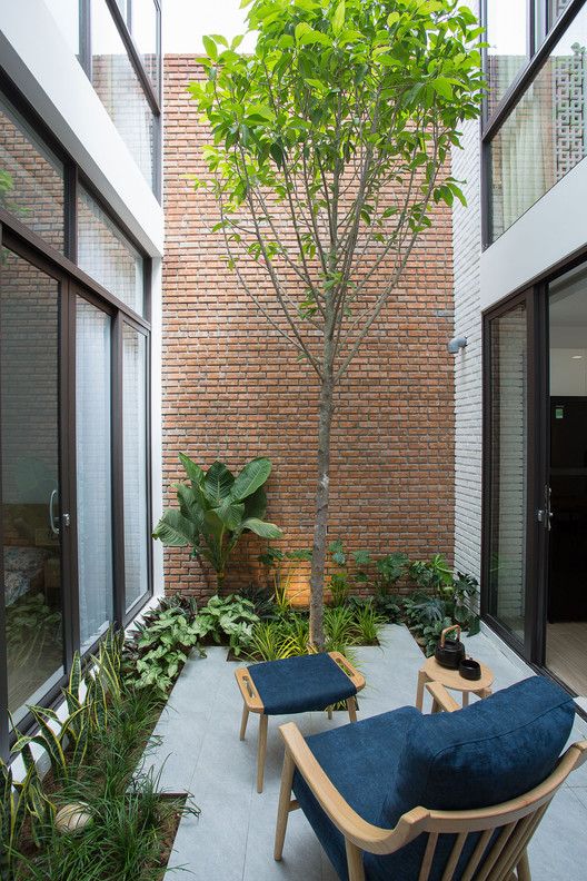 a tiny inner yard with a bit of greenery, a living tree and a stylish navy chair and a footrest plus a side table
