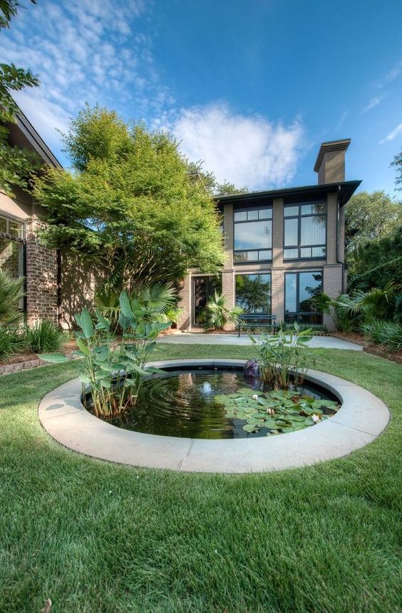 a modern outdoor space with grene lawn and a small round pond with water plants for more eye-catchiness and a soothing feel