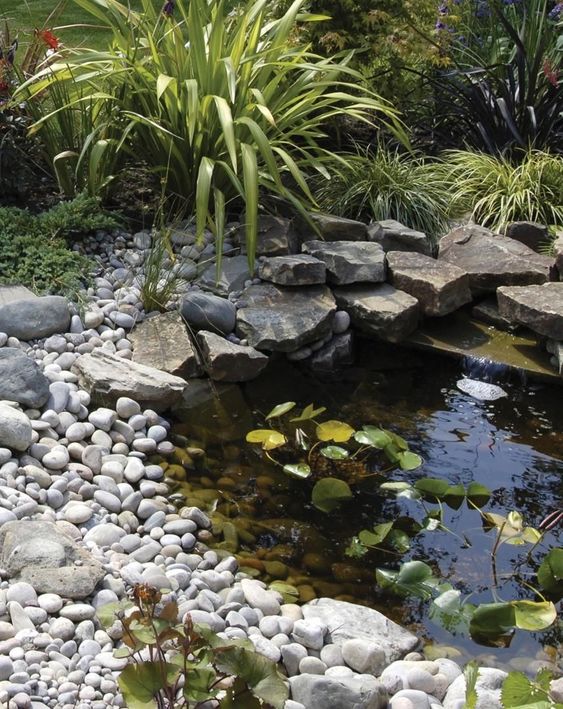 a small pond with water lilies and pebbles and rocks around is a beautiful water feature for a garden