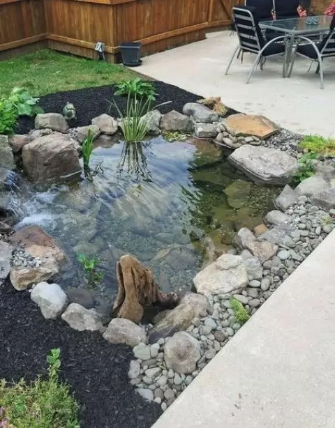 a small pond with water plants and rocks and pebbles looks lovely and very fresh and brings interest to the space