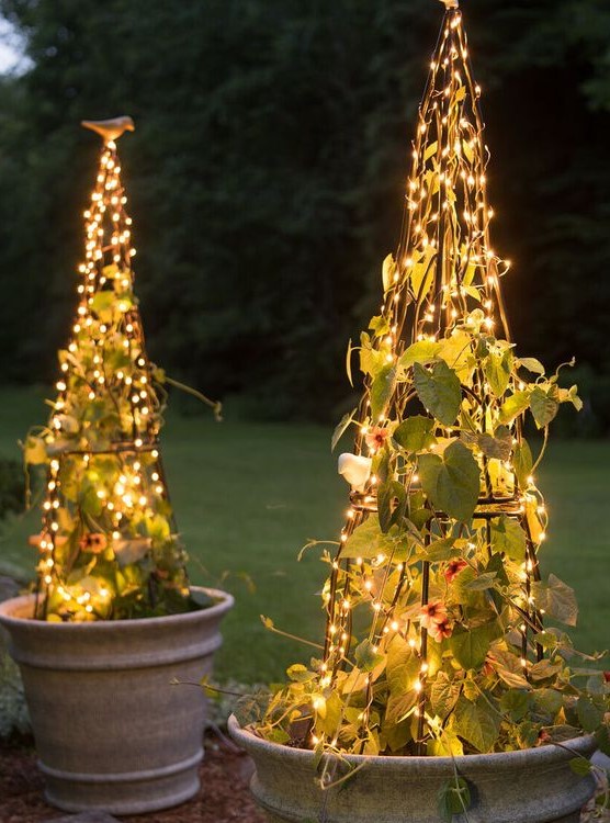 a creative light idea - trellises with climbing plants and lights are a catchy and interesting idea for outdoor spaces