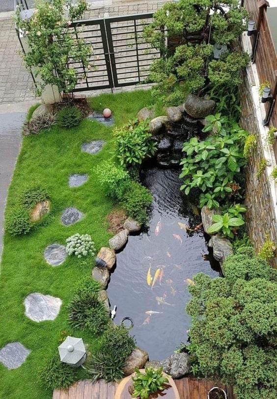 a small zen-inspired outdoor space with green lawn, rocks and pebbles, with a small pond with koi fish and greenery around it