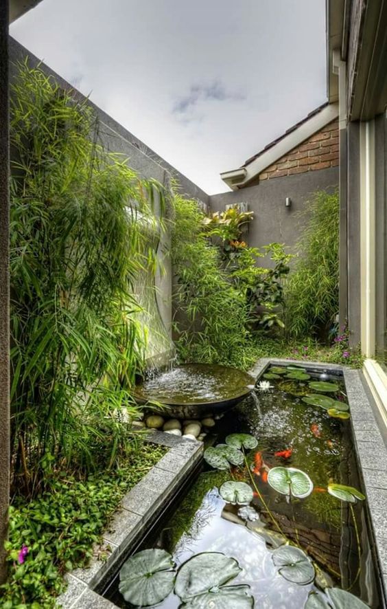 a stylish outdoor space with lush greenery, with a modern waterfall and a small pond with water plants and koi fish is amazing