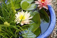 13 a bright mini water pond in bold blue, with water lilies and grasses will make an accent in your garden