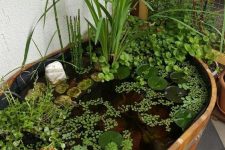 20 a mini pond in a wooden barrrel, with floating greenery, bright patterned balls, pebbles and colorful billy balls