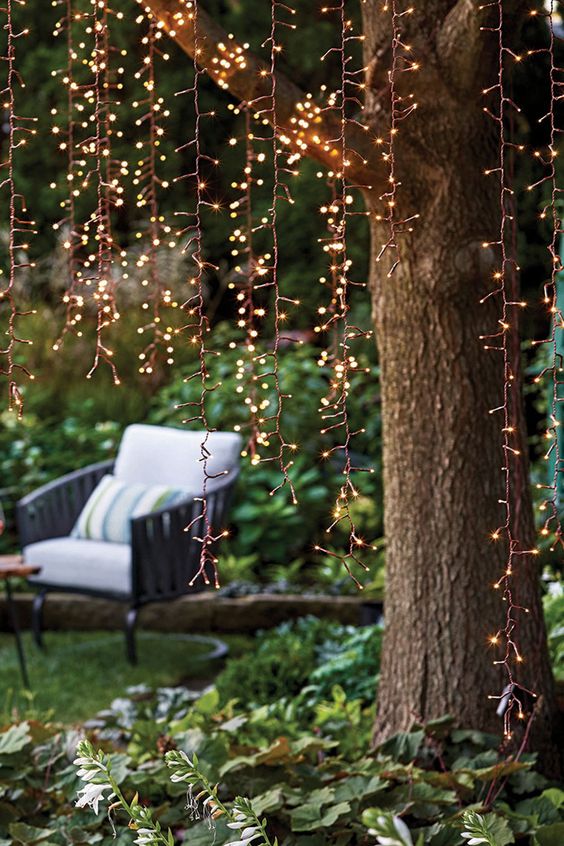 hanging LED lights can be placed on the trees to create whole curtains and canopies of light in your garden