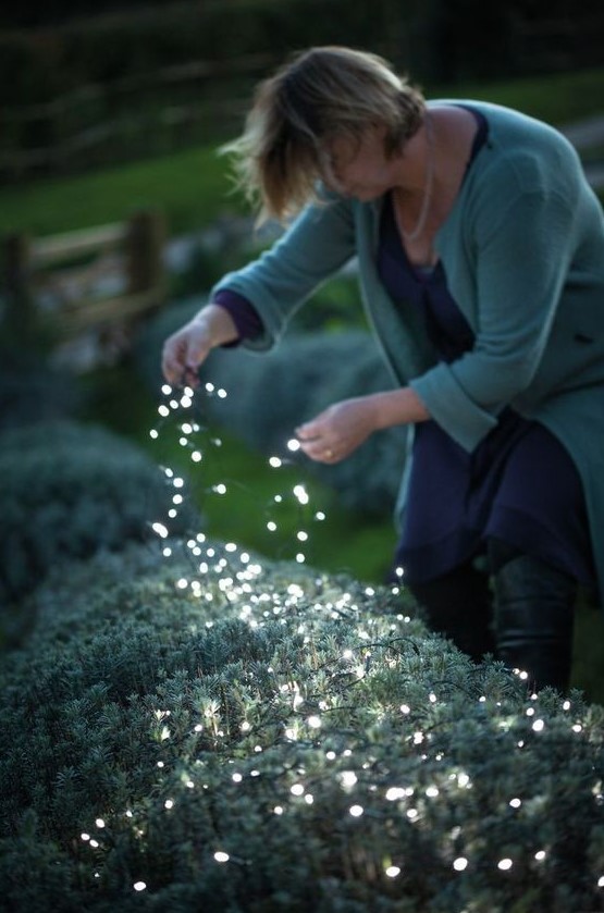place fairy lights right on the plants to make your backyard lit up and make it look magical at the same time