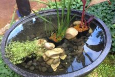 24 a small container pond with pebbles and water plants is a lovely idea for any outdoor space, whatever its size