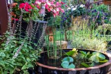 26 a small garden filled with blooms, with a small container pond and water plants is a gorgeous idea for your garden