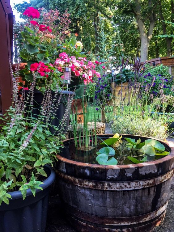 a small garden filled with blooms, with a small container pond and water plants is a gorgeous idea for your garden