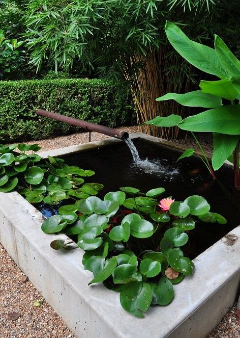 a small outdoor space with a box pond with water lilies and a waterfall plus greenery around is a lovely idea for a modern space