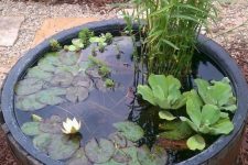 28 a wooden barrel with water lilies and greenery is a cool rustic idea for outdoor decor is easy to compose