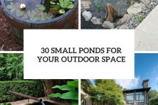 30 small ponds for your outdoor space cover