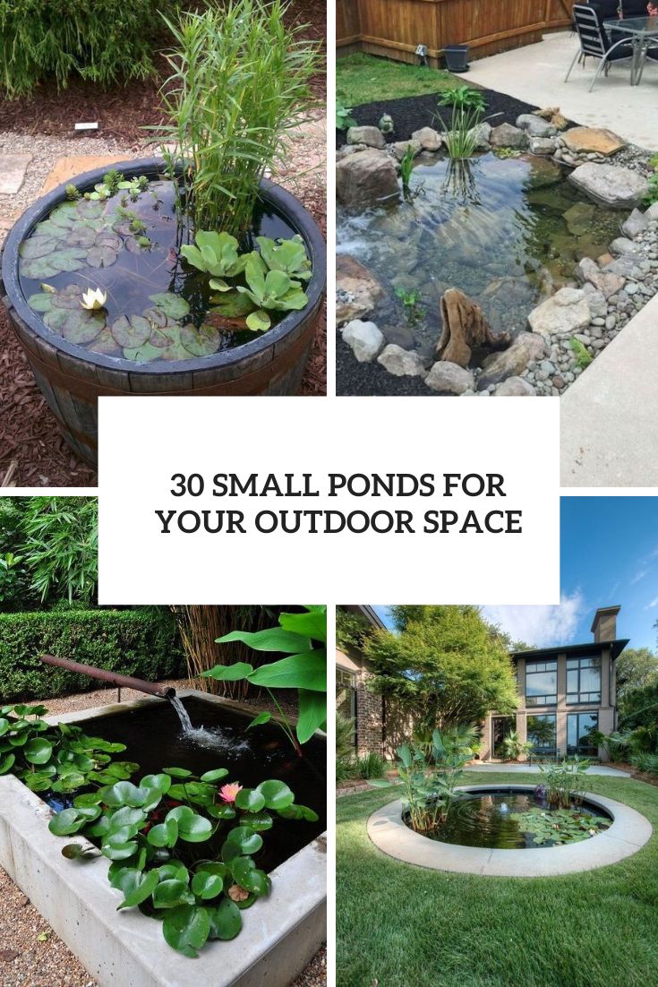 small ponds for your outdoor space cover