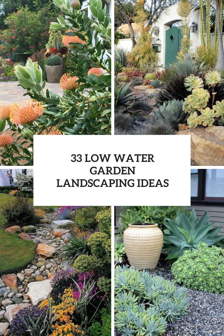 33 Low Water Garden Landscaping Ideas