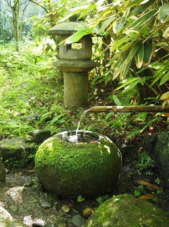 a Japanese garden with lots of greenery, a stone fountain, stone bowl covered with moss and a bamboo fountain